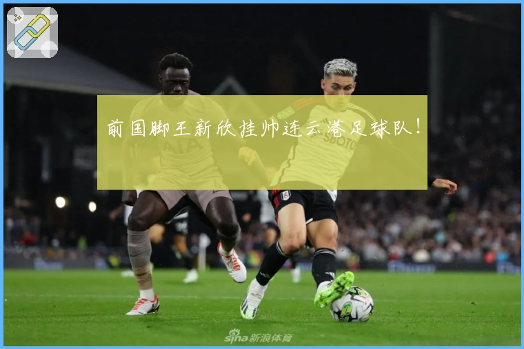 前国脚王新欣挂帅连云港足球队！