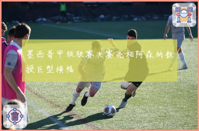 墨西哥甲级联赛决赛亮相阿森纳教授巨型横幅